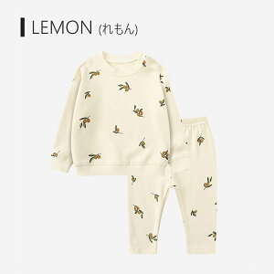 _{I|Cg10{^xr[ pW}  t H ~ LbY  q [EFA j̎q ̎q ㉺Zbg pW} Rbg Q ǂ 킢  70 80 90 100