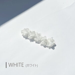 _ő15%OFFN[|^xr[ wAoh [X  J`[V Ԃ V ̎q wAANZT[  tH[} 100j o[Xf[tHg  qǂ 킢 