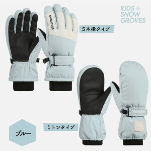 _ő15%OFFN[|^XL[ O[u LbY WjA Xm[O[u XL[ V Xm[ XL[ Xm[{[h 5{w ~g Xm{[ XL[EFA EB^[ ̎q j