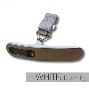 _10/4 20`ő50%OFFN[|^QbW`FbJ[ fW^XP[ gю ͂ 50kg fW^ vʊ ݂艺 s ނ y s@ ו z Mtg v[g |Cg