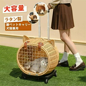 yzybgL[ LX^[t  L ^ ^ ^ nht ybgJ[g ybgL[obO ybgL[J[g ybgobO P[X ybgL[P