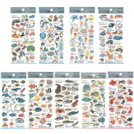 大人の図鑑シール（海の生き物）★