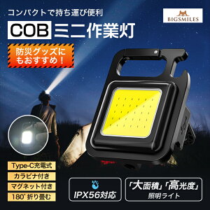 d COBCg ^ led LED^ ~j TypeC }Olbg LvCg Ɠ Px ^ O h Lv 800mAhobe[ hЃObY 
