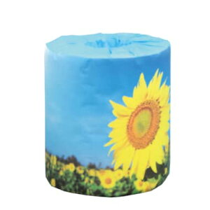 ԁ@(q})@gCbgy[p[@100@΂܂@̑p@Cxg@ii@p[eB[@@Vl@q@@Ђ܂@@Ԍt@ył܂zy[