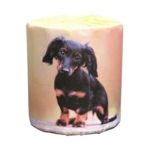 @~j`A_bNX@gCbgy[p[@100@@΂܂@̑p@Cxg@ii@p[eB[@@Vl@q@fBXvC @킢@@@y