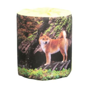 @Č@gCbgy[p[@100@@΂܂@̑p@Cxg@ii@p[eB[@@Vl@q@fBXvC @킢@@@ył܂