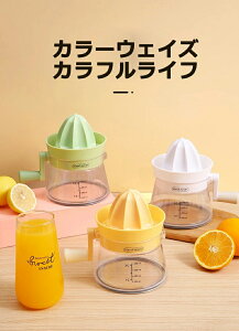 ʏ`i 蓮W[T[ ʏ` ʏ`ڂ nhW[T[ IWEEO[vt[c y