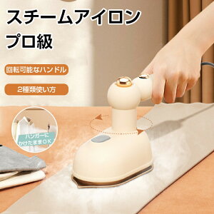 AC X`[AC ߗރX`[}[ X`[}[ VL΂ nfBX`[}[ ܂ݎ 12 AX`[  EL X^ht y Rh~ AC X`[AC