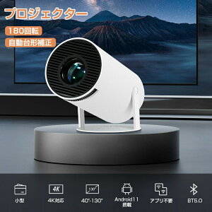 vWFN^[ ^ V 180°] ƒp vWFN^[ V uWFN^[^ V䓊eΉ `␳ Android11.0 wi-fi 6 2.4GHz 5GHz tHD 160ANSI z[V
