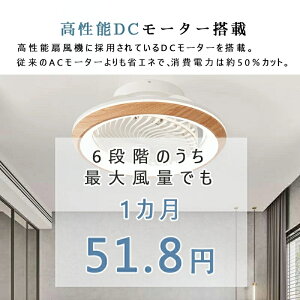 V[Ot@Cg U DC[^[ ~10 led V[OCg t@t V[Ot@ @ V䃉Cg ȃGl F ^C}[@\ Cz Hsv É ^ 