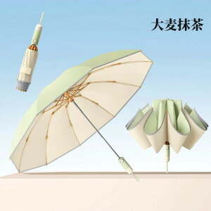 tP P ܂肽 SՌ ֗ Jp O΍ Ă΍ UVJbg ɋ Vv Oh~ J y ܂ݎP 10{ fB[X p 킢 ~j  