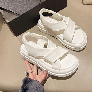 T_ fB[X  ₷ Sn悢 Xbp  킢 ؍ NXT_ r  _炩 X|[cT_ y s AEghA r[` ][g ăT_