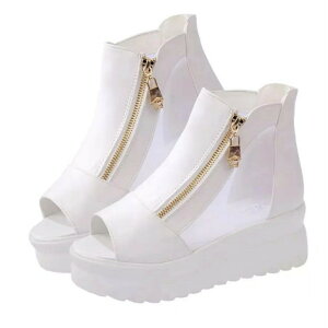  u[c fB[X C C V[Y y T_  V[g q[ EFbW\[ t  H JWA lC fB[XC fB[X V[gu[c u[c 