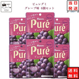 お菓子 カンロ ピュレグミ グレープ 6個セット 詰め合わせ グミ 駄菓子セット まとめ買い 送料無料 スイーツ キャンディ 甘酸っぱい味わい 定番 おやつ 小腹満たし イベント 遠足 学童おやつ プチギフト お祝い シェア用 フルーツ系 食べ切りサイズ 人気商品 常温保存