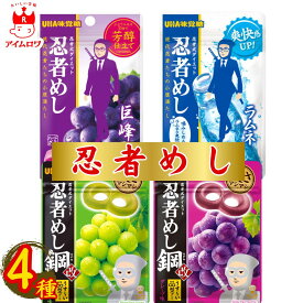 1000円ポッキリ 送料無料 お菓子 詰め合わせ UHA味覚糖 忍者メシ 巨峰 ラムネ 鋼 グレープ 鋼 マスカット 4種セット 各1袋 グミ スイーツ 駄菓子 まとめ買い アソートセット 買い置き ストック 子供 大人 子供会 遠足 リフレッシュ