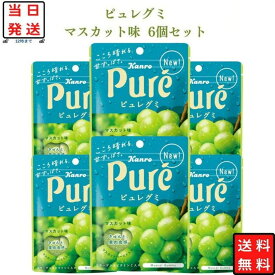 【13時〆最短翌日着】お菓子 グミ カンロ ピュレグミ マスカット 6袋セット 果汁感 個包装 フルーツグミ まとめ買い スイーツ 常温保存 大容量 おやつ 家庭用 学校 会社 人気 駄菓子 マスカットグミ 送料無料