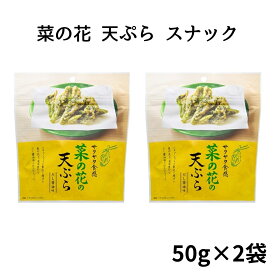 【13時〆最短翌日着】天ぷらスナック 菜の花 天ぷら スナック菓子 おつまみ 2袋 野菜スナック 天ぷら お菓子 きのこ菓子 サクサク食感 旨み 香ばしい おつまみ おやつ 酒の肴 酒のつまみ 家庭用 来客用 常備菓子 食べきりサイズ まとめ買い 1000円ポッキリ 送料無料