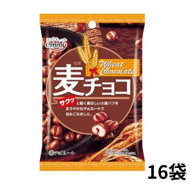 【13時〆最短翌日着】チョコレート 菓子 麦チョコ 30g×16袋 正栄デリシィ 香ばしいパフとまろやかチョコのサクサク食感 個包装 おやつ スイーツ 学校 職場 家族用 常温保存 まとめ買い 大容量 業務用 日本製 懐かしい味わい 昭和レトロ チョコスナック ギフトにもおすすめ