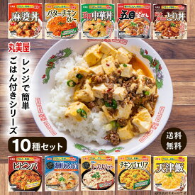 母の日 レトルト食品 詰め合わせ 常温保存 レトルト 常温 惣菜 野菜 業務用 送料無料 レトルトご飯 ごはん 丸美屋 ごはん付き 10種 インスタント食品 セット ご飯パック まとめ買い 即席 非常食 防災 備蓄 学生 仕送り ビビンバ 麻婆丼 中華丼 天津飯 チーズ