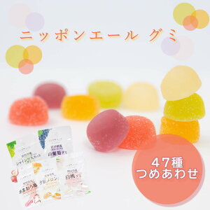 お菓子 詰め合わせ 全農 ニッポンエール グミ 47種 駄菓子 まとめ買い アソートセット ご当地 日本全国 地域の味 ご当地グルメ 特産 名産 果実グミ お土産 手土産 パーティー 学童 おやつ 遠