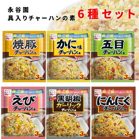 チャーハンの素 送料無料 永谷園 具入り 炒飯の素 6種セット えび 海老 カニ 蟹 焼豚 にんにく ガーリック 胡椒 黒チャーハン 即席 簡単 味付け 味ごはん ご飯 アレンジ レトルト 食品 まとめ買い ストック 常備 備蓄 長期保存 中華料理 アソートセット