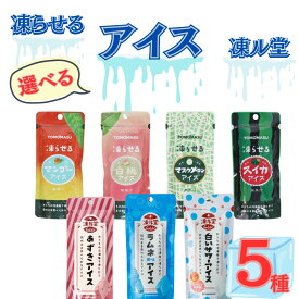 果実アイス 7種から選べる5種 送料無料 凍ル堂 アイス シャーベット ゼリー フルーツ スティック ジュース バー 冷凍 パウチ 友桝飲料 ストック 常温保存 備蓄 スイーツ おやつ 子供 大人 買い置き お試し