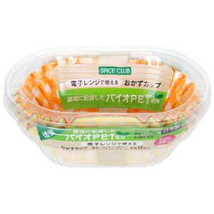 aY dqWŎg邨Jbv oCIPETgp  48