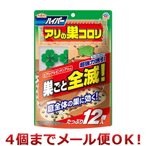 A[X nCp[ȂR 12i4܂Ń[֑Ήj