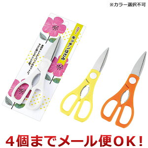 GR[ J[Lb`͂ J[Isi4܂Ń[֑Ήj