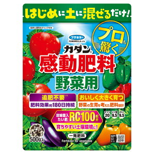 t}L[ J_ 엿 ؗp 500g