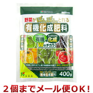 Ԃ L@엿 400gi2܂Ń[֑Ήj