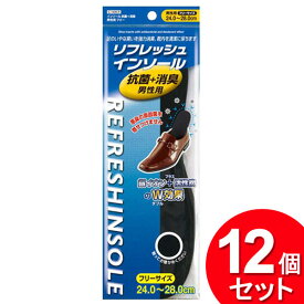 12個セット 不動化学 インソール 抗菌消臭 男性用 フリー CS-1409（まとめ買い_日用品_靴用品）