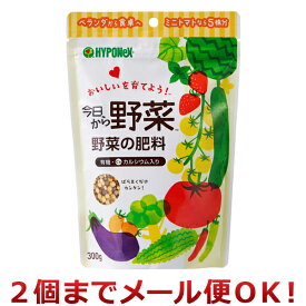 ハイポネックスジャパン 今日から野菜 野菜の肥料 300g（2個までメール便対応）