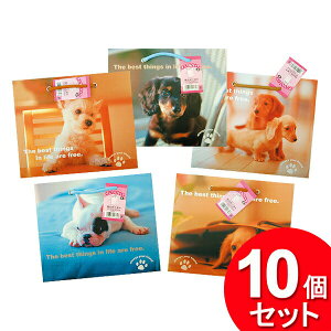 10Zbg EcH Aj}obOij PB-662i܂Ƃߔ_pi_܁j