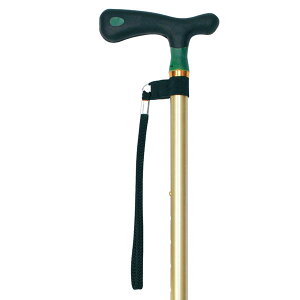 yS1܂z}bNXt@Ng[  \tgObvJ[XebL 10iK 431