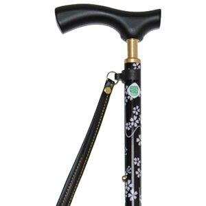 yS1܂z}bNXt@Ng[  XvgXebL 10iK 704