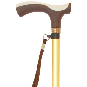 yS1܂z}bNXt@Ng[  tCf J[XebL Lk10iK 2110