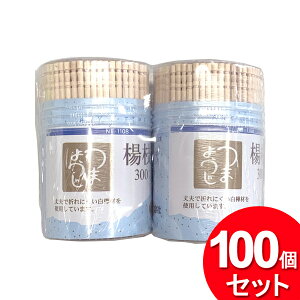 100Zbg }bNXt@Ng[ k} 300{×2pbNi600{j NT-1108i600{×100=60000{Zbgji܂Ƃߔ_Lb`_ĝĐHj