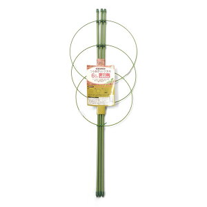 IJUL K[fjO 銪Ox 60cm 6p