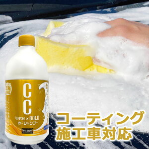 vX^bt CCEH[^[S[h Vv[ 1000ml S200