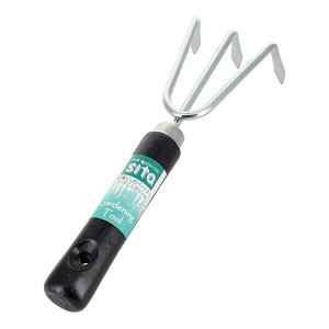 OR[|[V sita N[N}f ؕ A253