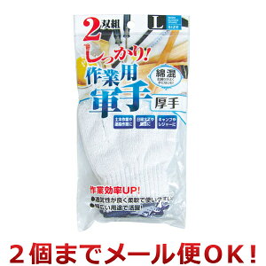 ZCv ȍ ƗpR  2og L 45-626i2܂Ń[֑Ήj