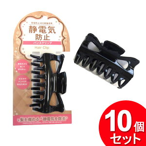 10Zbg c ÓdCh~ oXNbvi܂Ƃߔ_pi_wAACej