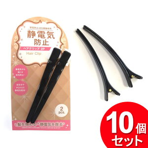 10Zbg c ÓdCh~ wANbv 2Pi܂Ƃߔ_pi_wAACej