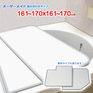 v I[_[Ch gCӂ ʃzCg 161`170×161`170cm 3