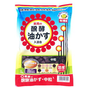 ���� ���y������ ���� 550g