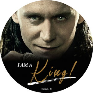 }[x MARVEL L INFINITY SAGA _CJbgXebJ[B IS-659