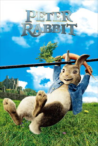 s[^[rbg2 o[ioX̗Uf IJ-112 LL|XgJ[hB