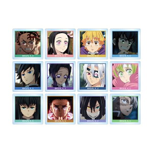 AjuSł̐nv g[fBOʎʃAN^C 12BOX y2026N1{\z