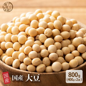 哤 yeʂIׂ400g~800gzGĖ{ Y F ԃTCY  |Xg Y